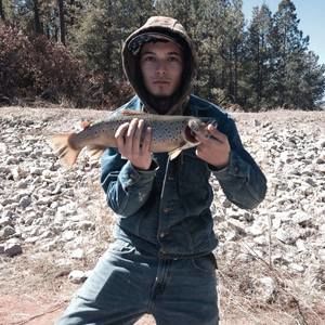 Meet your Posher, Jackson